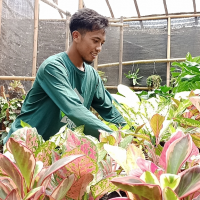 uploads/editorial/sahabat_petani/afip-amrizal-basri-880107ec926d450.jpg