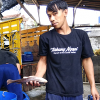 uploads/editorial/sahabat_petani/ahmad-rahmasyah-76118a834e56661.jpg