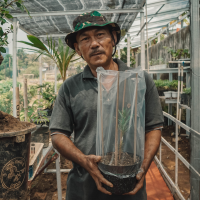 uploads/editorial/sahabat_petani/andiya-2672832e7e0431d.JPG
