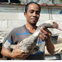 uploads/editorial/sahabat_petani/arifudin-14741e09247b7dc.jpg