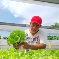 uploads/editorial/sahabat_petani/erry-silalahi-814660c290e1dc7.jpeg