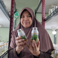 uploads/editorial/sahabat_petani/hapsiati-7966778c09c2920.jpeg