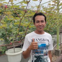 uploads/editorial/sahabat_petani/ipoel-war-wer-190683be70cfdc5.jpg