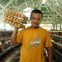 uploads/editorial/sahabat_petani/rizal-anshori-112126140586b7e.jpg