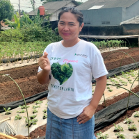 uploads/editorial/sahabat_petani/rizki-situngkir-891617c5f2929e1.jpg