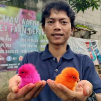 uploads/editorial/sahabat_petani/rudi-tri-sandi-2595177f10a27dc.jpg