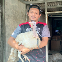 uploads/editorial/sahabat_petani/rustrianto-82653325013733d.jpg
