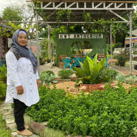 uploads/editorial/sahabat_petani/yuliana-darmawan-432502923585196.jpeg