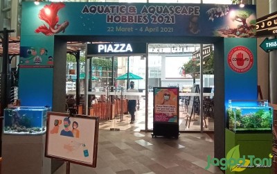 uploads/event/2021/03/aquatic-aquascape-hobbies-24342d42a7fe2ba_400.jpg