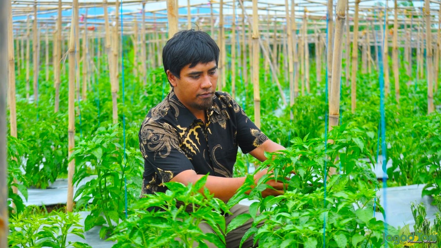 Semangat Milenial Religius Meniti Pertanian 