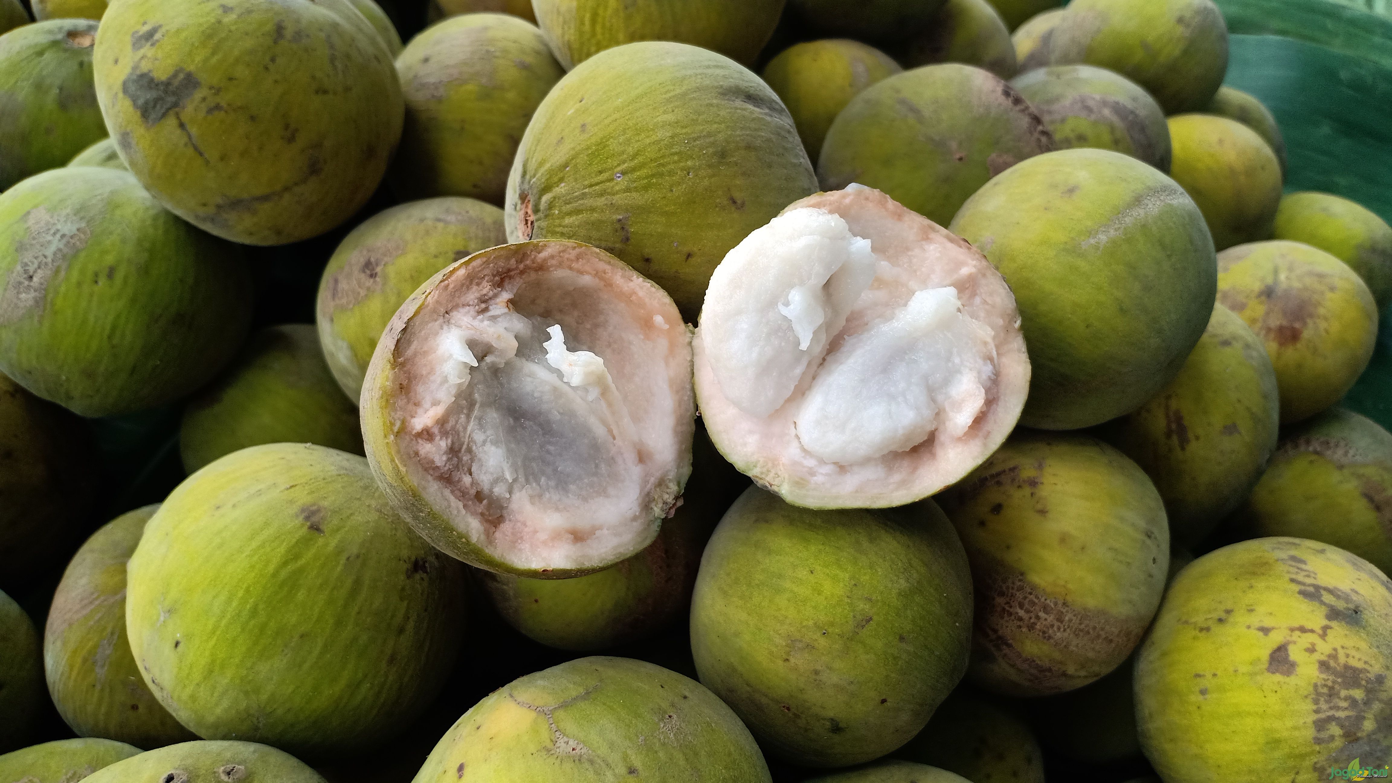 Buah kecapi