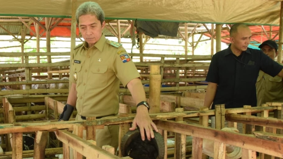 Memastikan Kualitas Hewan di RPH Bubulak