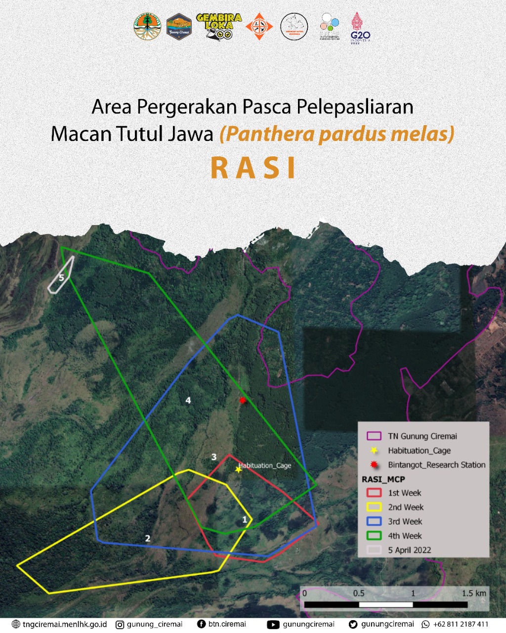 Area penjelajahan Rasi Macan Tutul