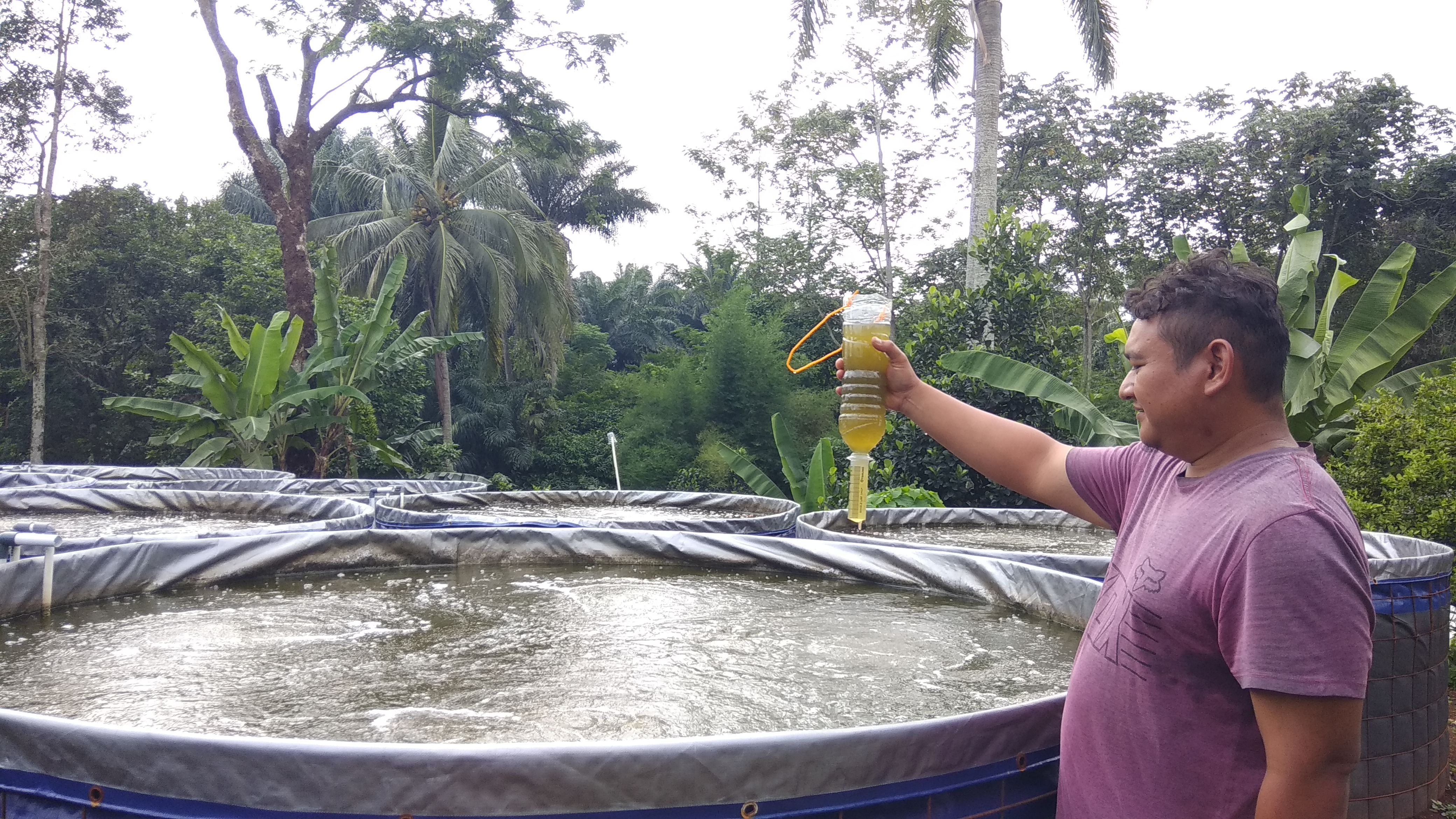 Alasan Nila Merah Wajib Puasa