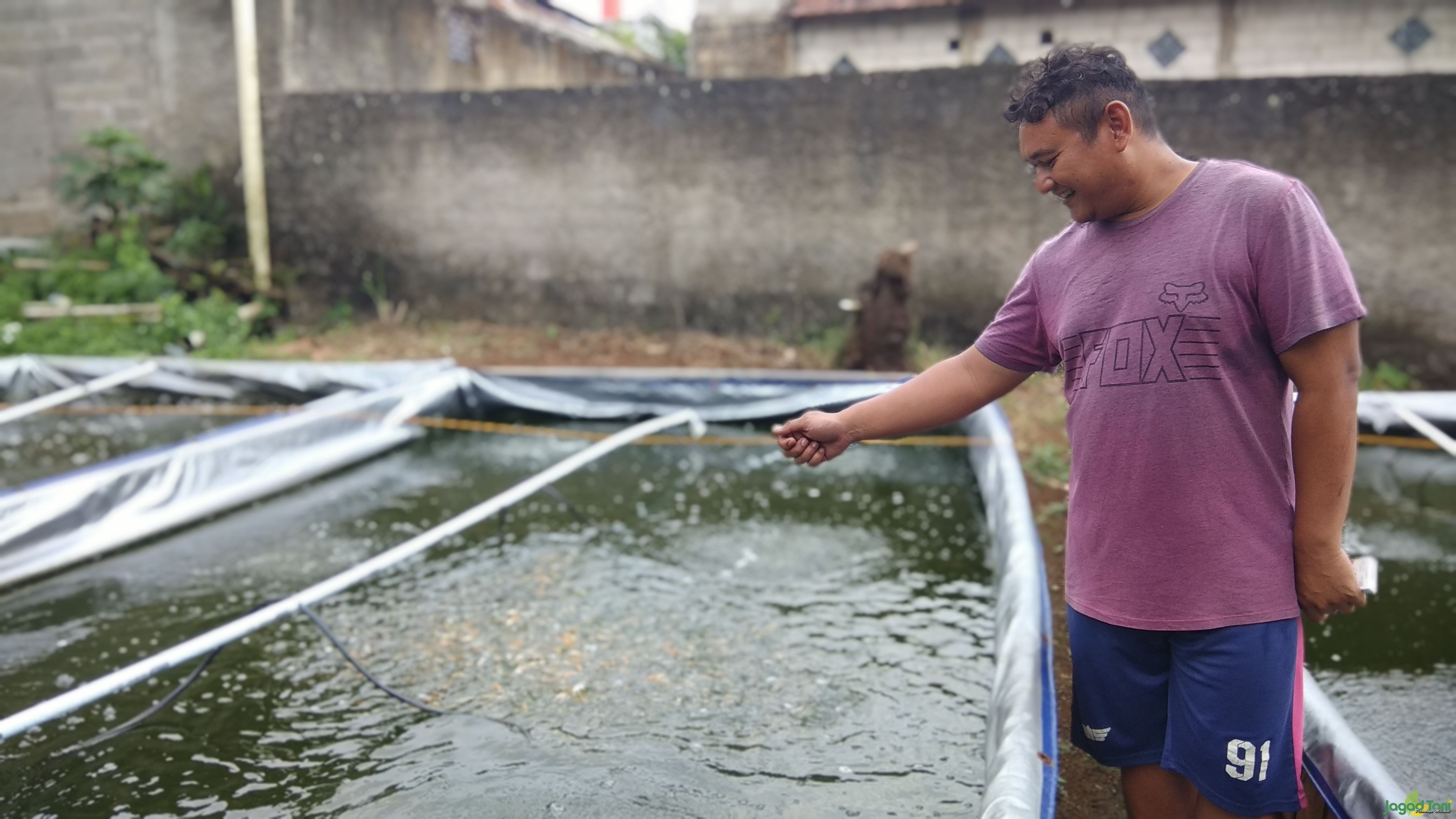 MinaB Agribisnis Berternak Nila Dengan Bioflok