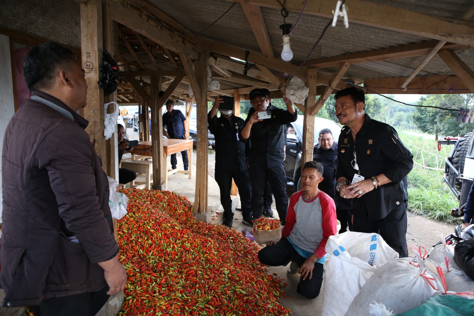 
Panen Raya Cabai, Mentan Jamin stok Aman