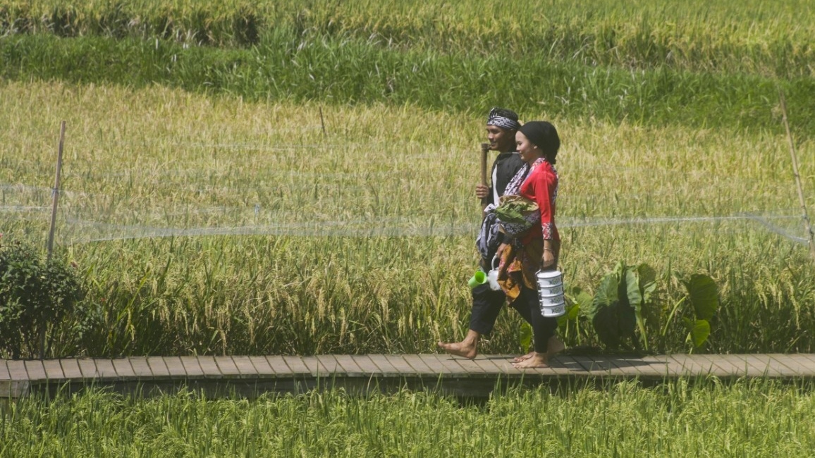 Saat Petani jadi Model