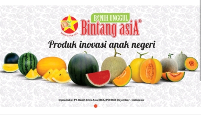 Benih Unggul Bikin Cuan Meroket