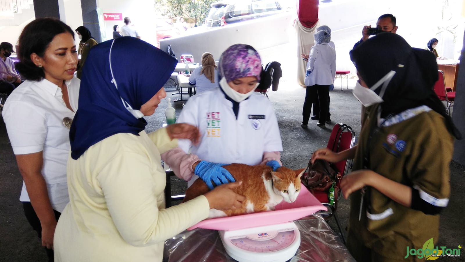 Menangkal Hewan Terinfeksi Rabies