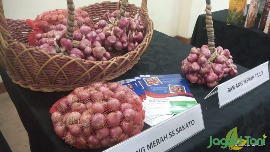 Tajuk dan SS Sakato, Varietas Bawang Merah Unggul