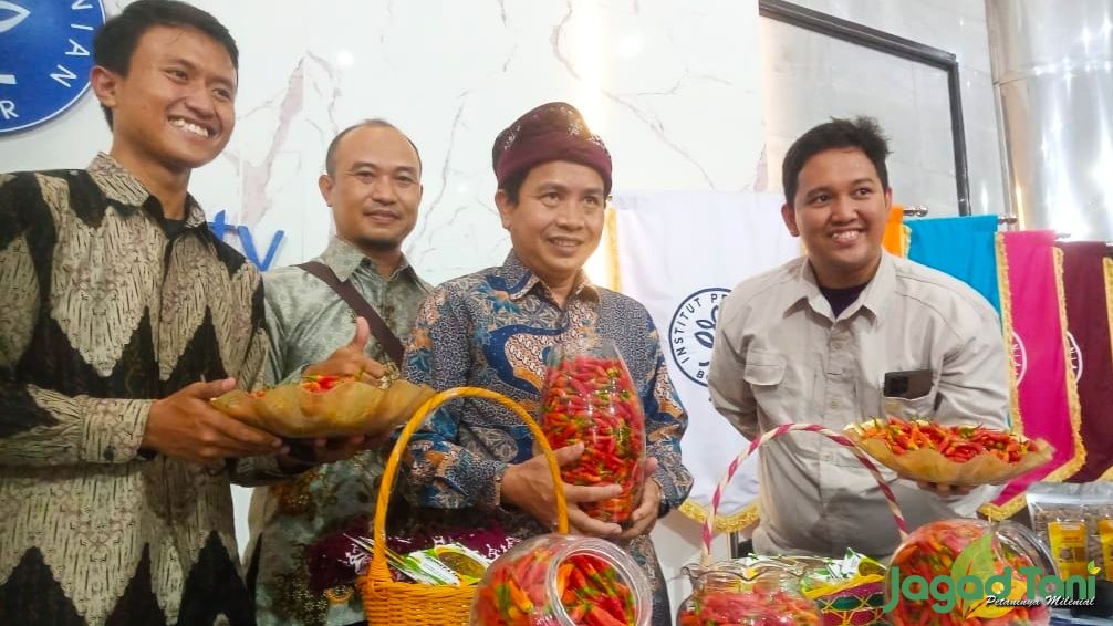 Genjot Produktivitas dengan Cabai Rawit Bonita IPB