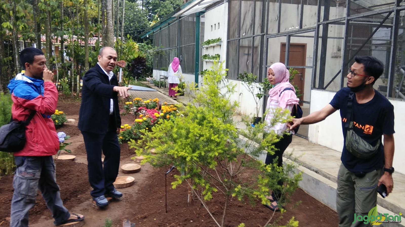 Mengenal Tanaman untuk Relaksasi