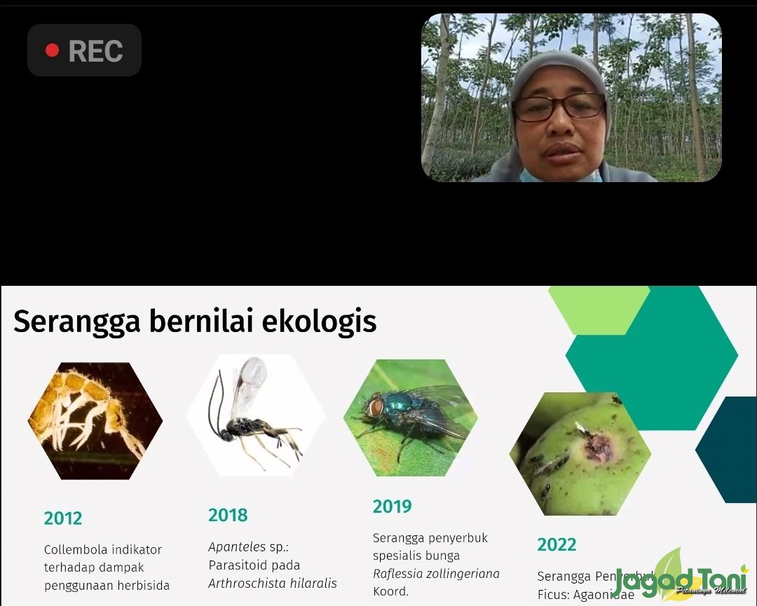 Serangga Hutan dan Strategi Pengelolaannya di Masa Depan