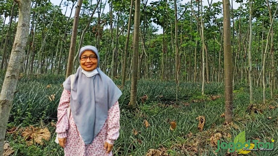 Serangga Hutan dan Strategi Pengelolaannya di Masa Depan