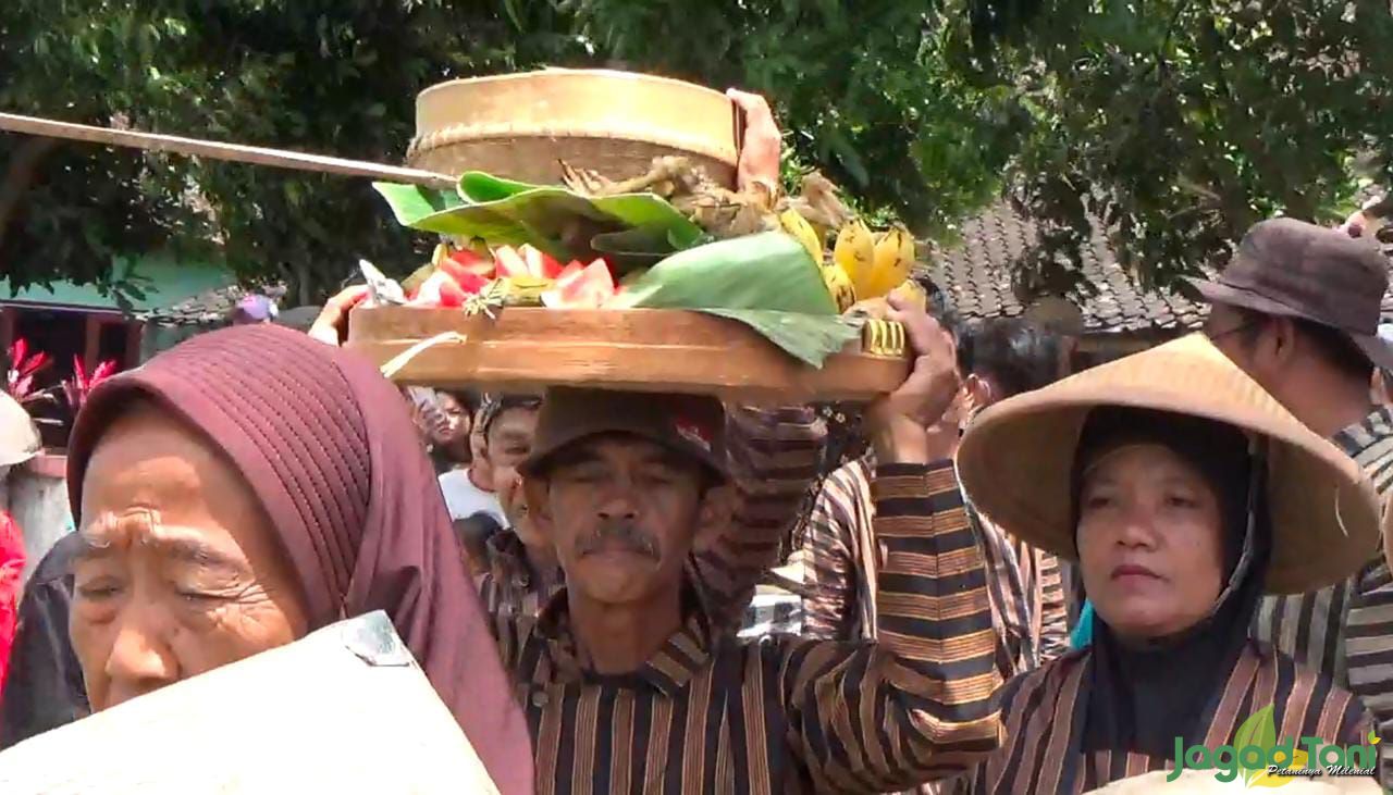 Tradisi Wiwitan, Ritual Petani Sebagai Wujud Syukur Atas Panen Melimpah