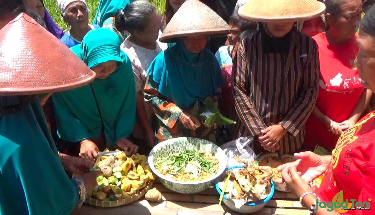 Tradisi Wiwitan, Ritual Petani Sebagai Wujud Syukur Atas Panen Melimpah