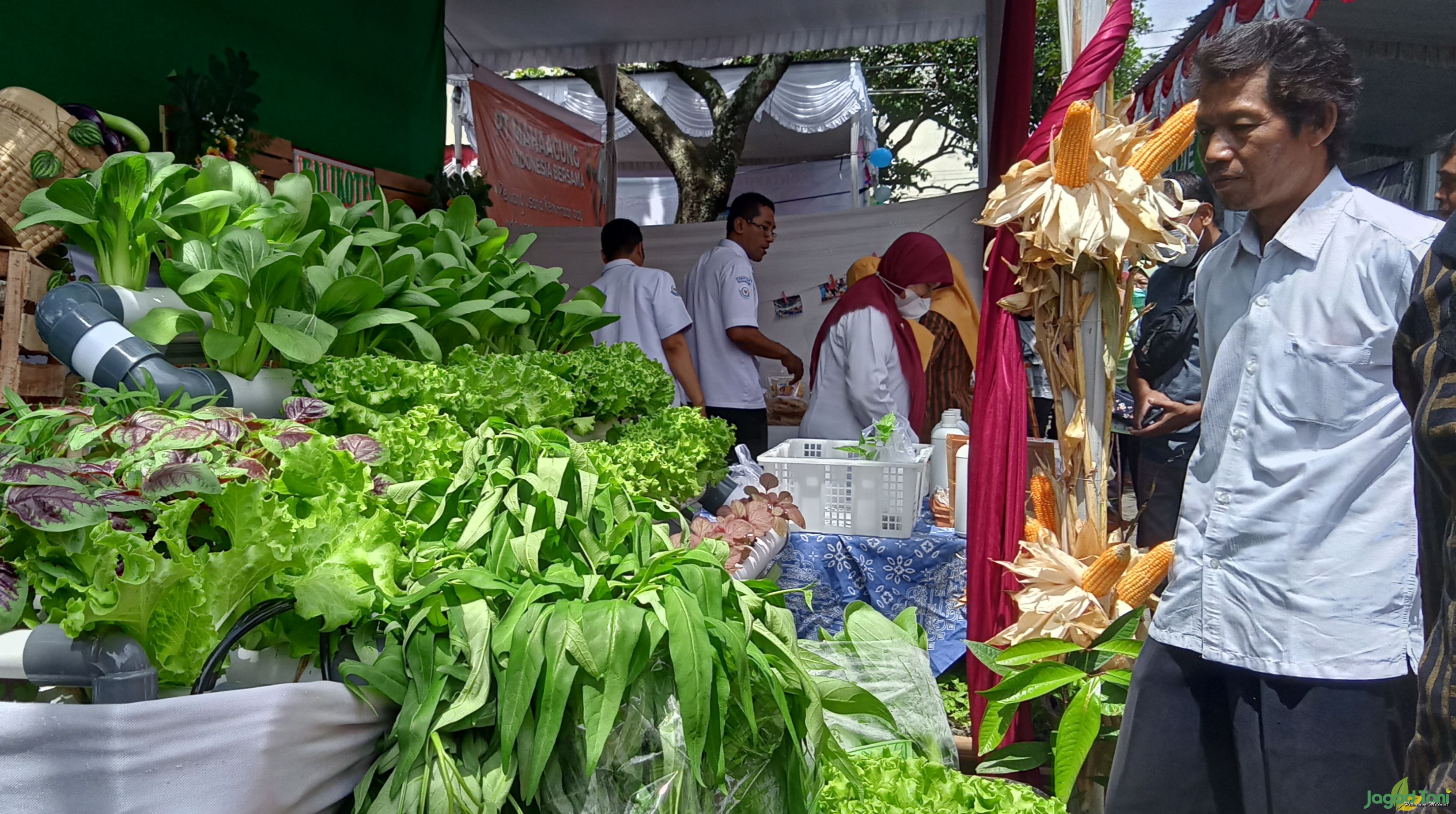 Agro Expo Pertanian Dorong Semangat Petani Jaga Ketahanan Pangan 
