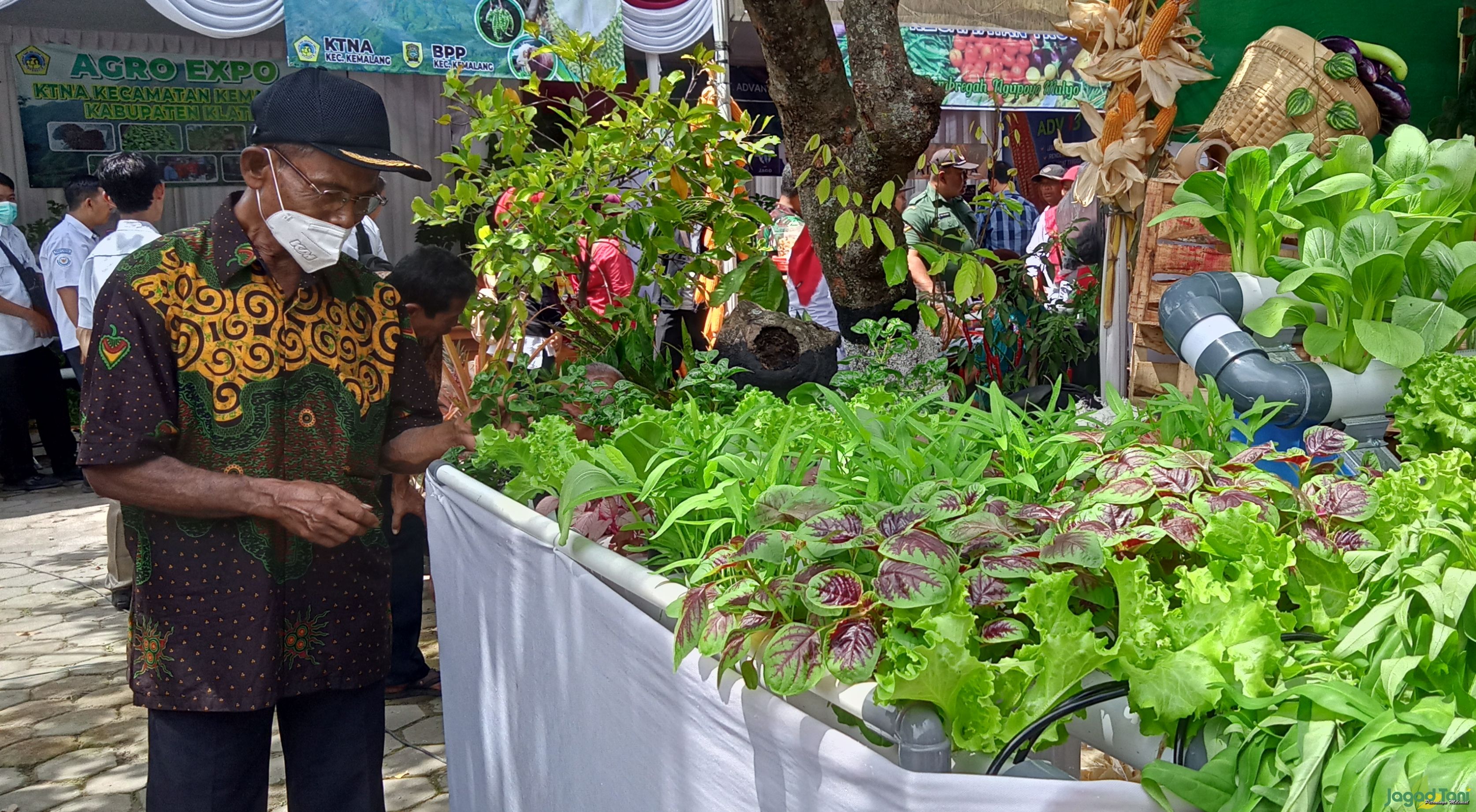 Agro Expo Pertanian Dorong Semangat Petani Jaga Ketahanan Pangan 