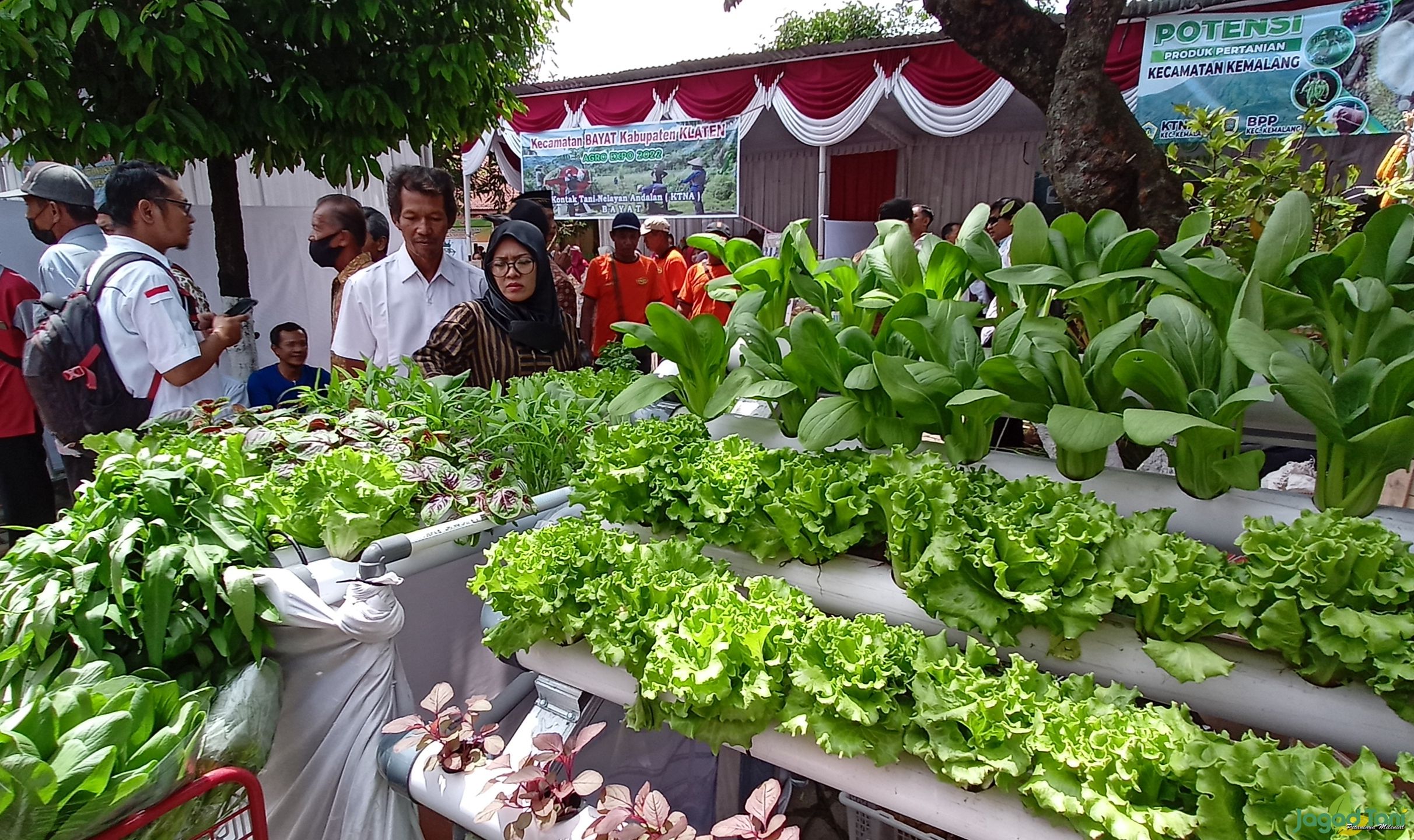 Agro Expo Pertanian Dorong Semangat Petani Jaga Ketahanan Pangan 