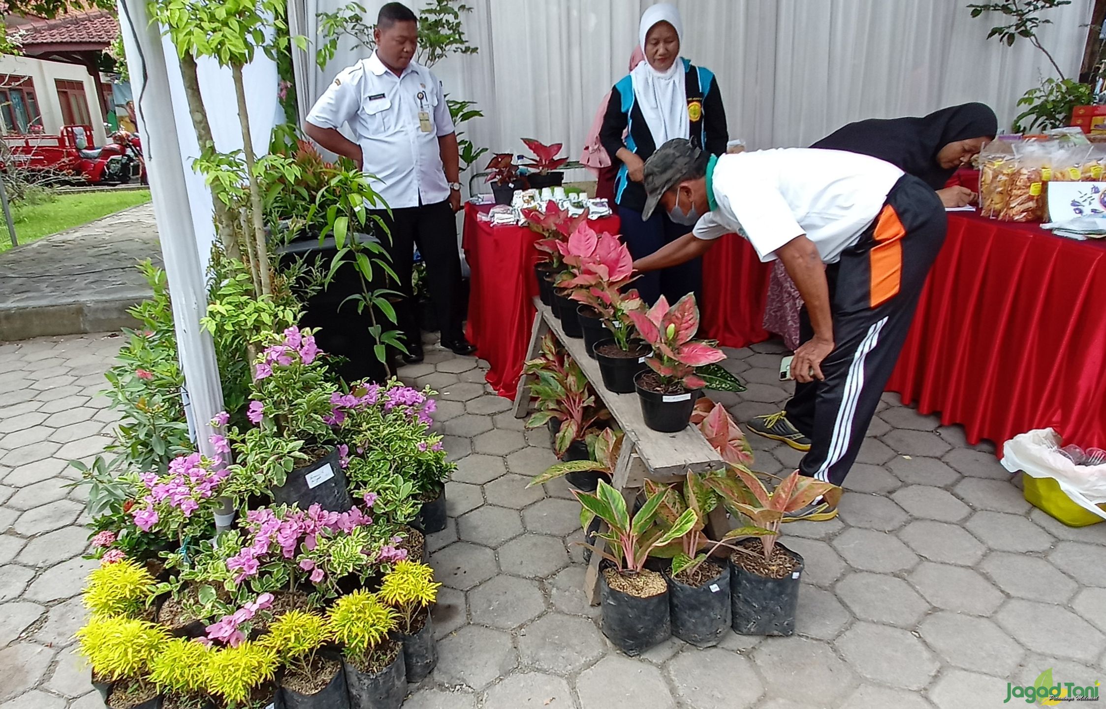 Agro Expo Pertanian Dorong Semangat Petani Jaga Ketahanan Pangan 