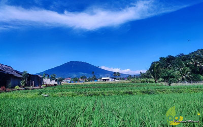 uploads/gallery/2022/11/pasca-gempa-pertanian-cianjur-37053e969b34e71_400.jpg