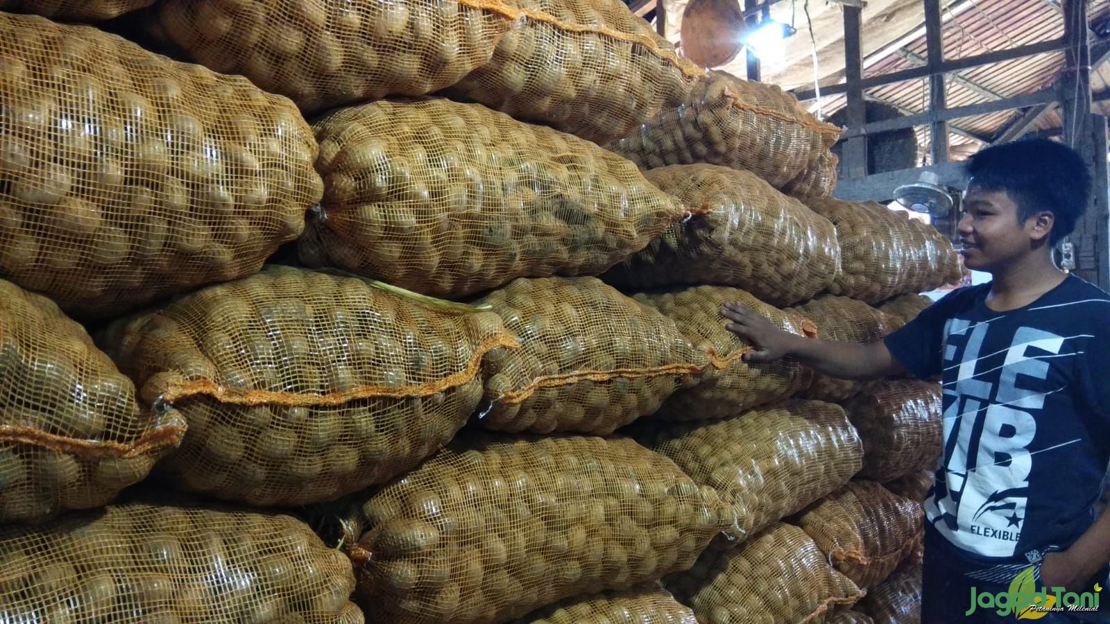13 Jam Geliat Ekonomi Pasar Teknik Umum 