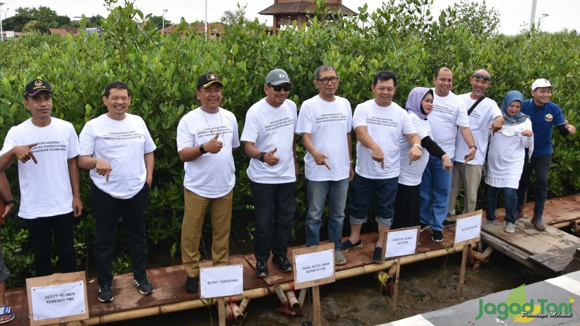 Kolaborasi Menanam Mangrove-Pohon Langka
