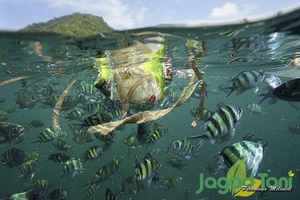 Indonesia adalah negara maritim dengan kekayaan alam yang indah, sebuah sampah plastic terlihat menc