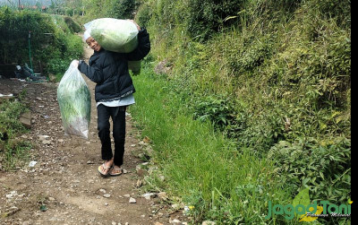 uploads/gallery/2023/01/geliat-pertanian-sayur-di-20830954471c3c0_400.jpg