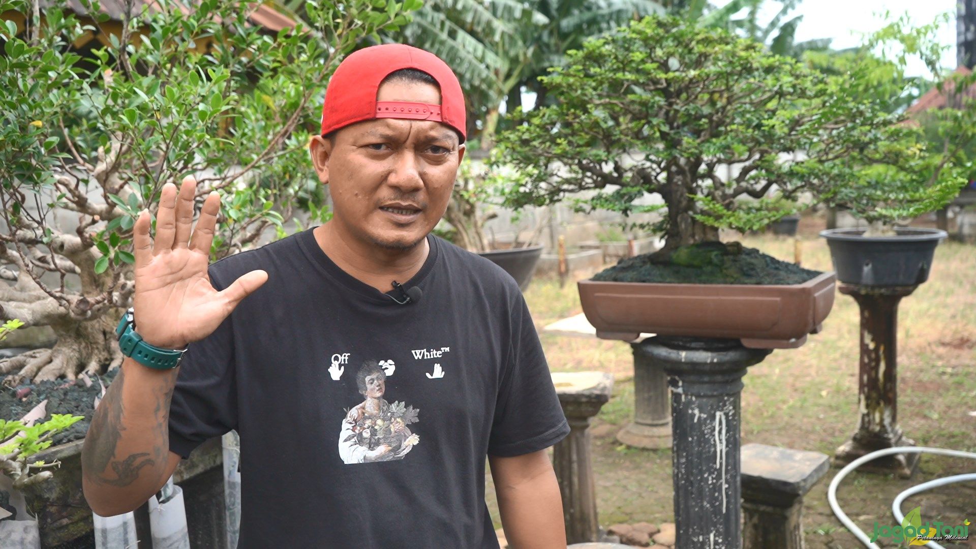 Iwan Bens Bonsai