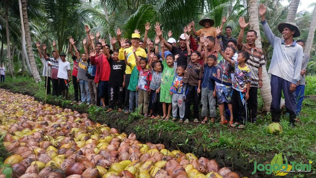 Kelapa Jadi Denyut Kehidupan Indragiri Hilir 