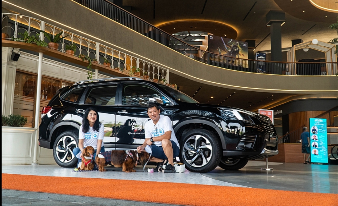 Subaru Loves Pets - pencinta anjing daschund