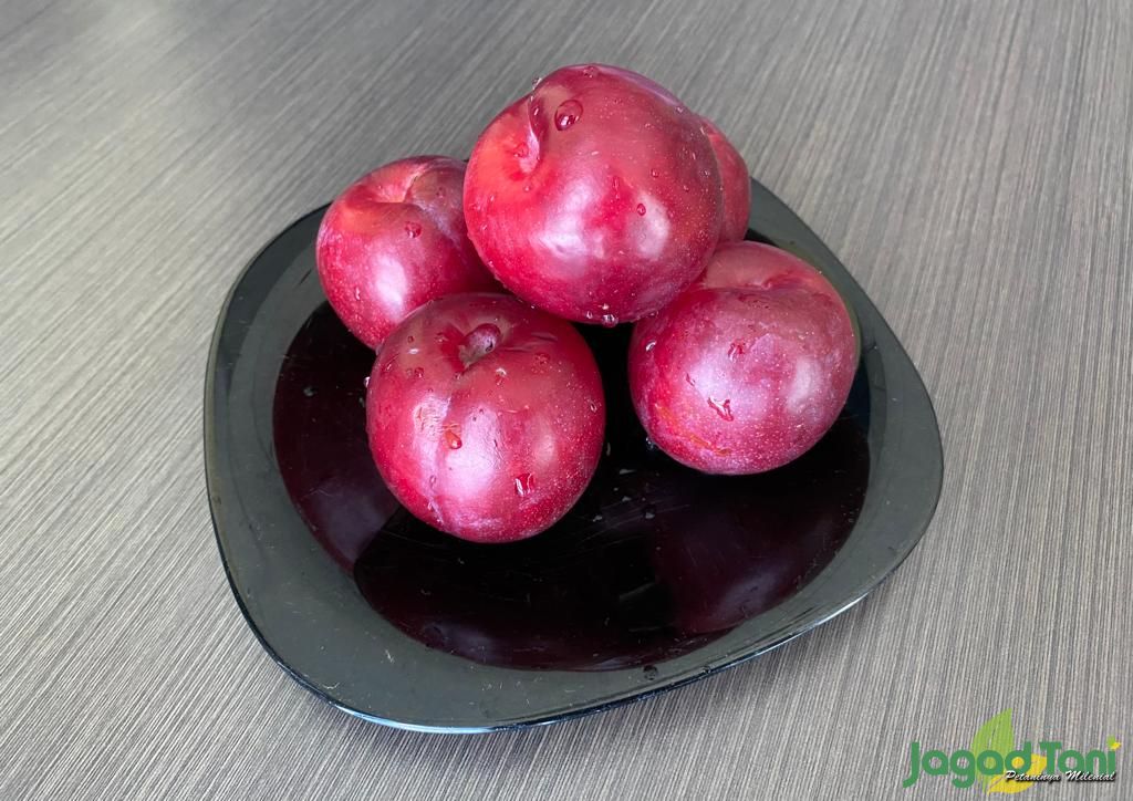 Buah plum