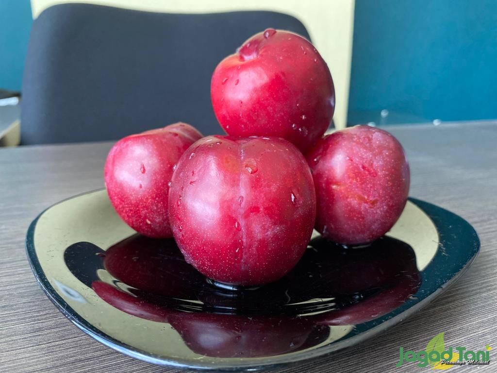 Buah plum 