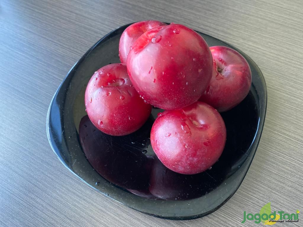 Buah plum