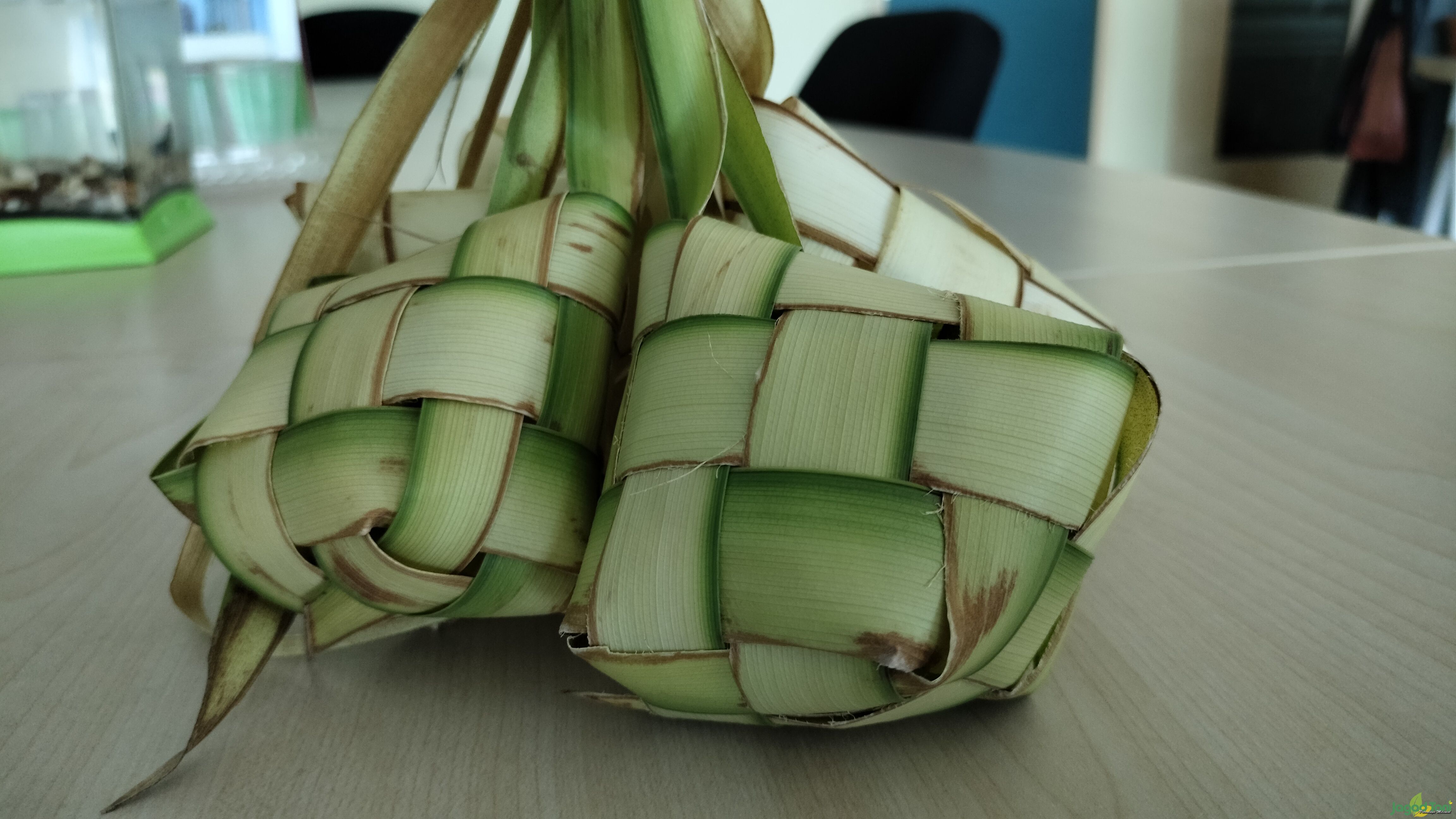 Manfaat daun kelapa muda