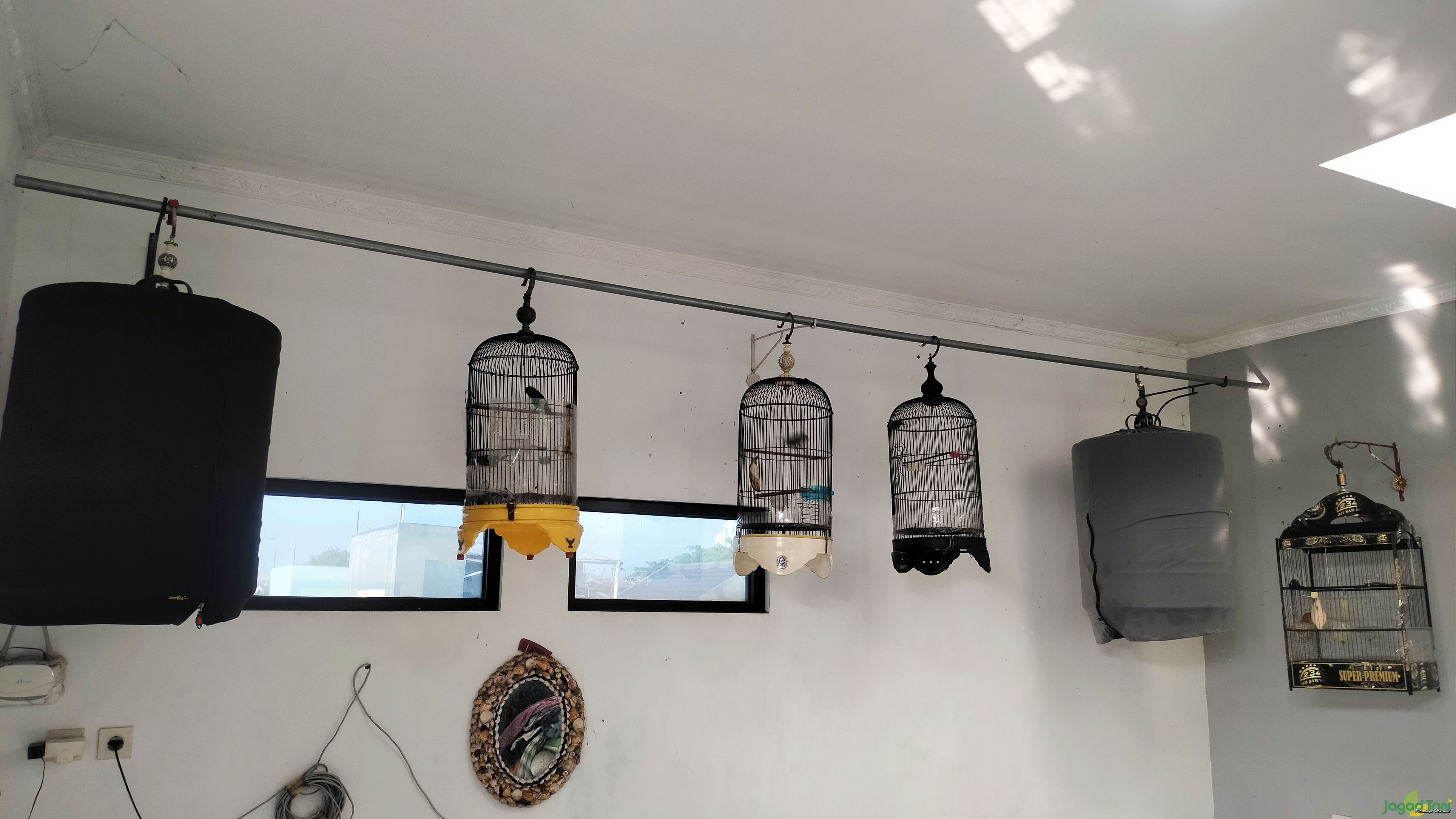 Peluang Bisnis, Penitipan Burung Kicau Saat Lebaran