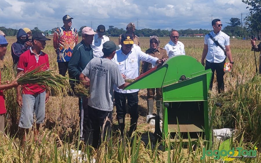Menteri Pertanian melakukan panen raya padi di Klaten