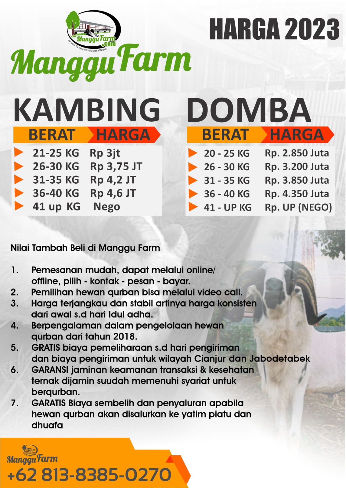 Harga Domba Bersaing, Manggu Farm Bantu Pengiriman