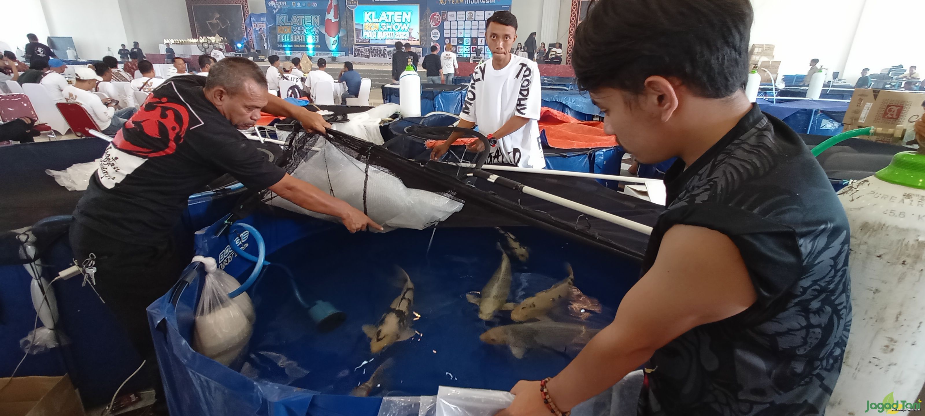 Kegiatan Klaten Koi Show 2023 di Grha Bung Karno Klaten, Jawa Tengah